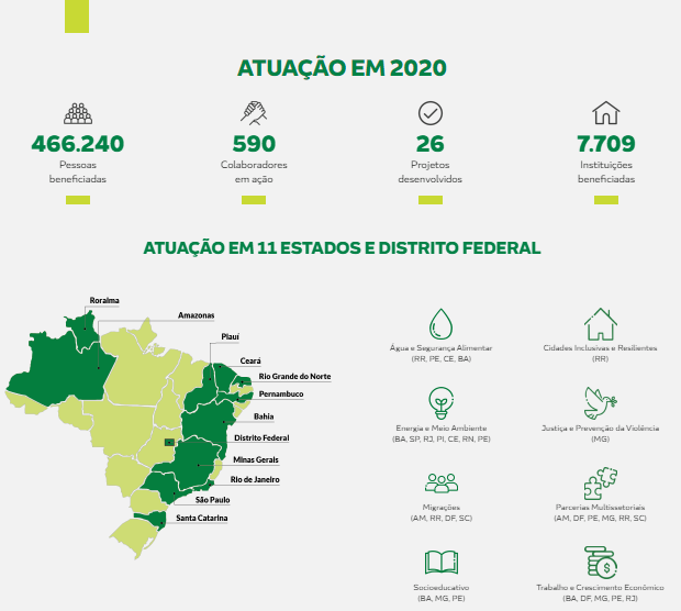 ONG Brasil Infografia 